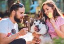 Día del helado: el crecimiento de los helados de origen vegetal