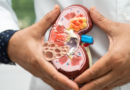 Salud renal: un pilar fundamental para el bienestar del organismo