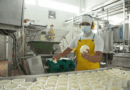 Queso Mozzarella Light y Deslactosado reflejó un crecimiento del 91% de volumen durante el 2024
