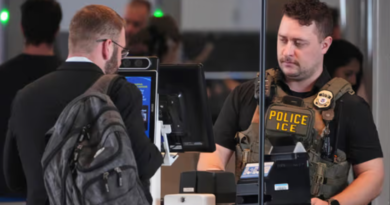 Hasta 40 inmigrantes son detenidos en un solo día en aeropuertos de Estados Unidos; intensifican operativos de  ICE