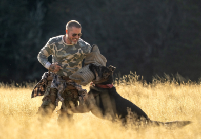 BRAD PITT Y SU PERRO DE COMBATE ENFRENTAN SU MAYOR DESAFÍO EN “EL CORAZÓN DE LA BESTIA